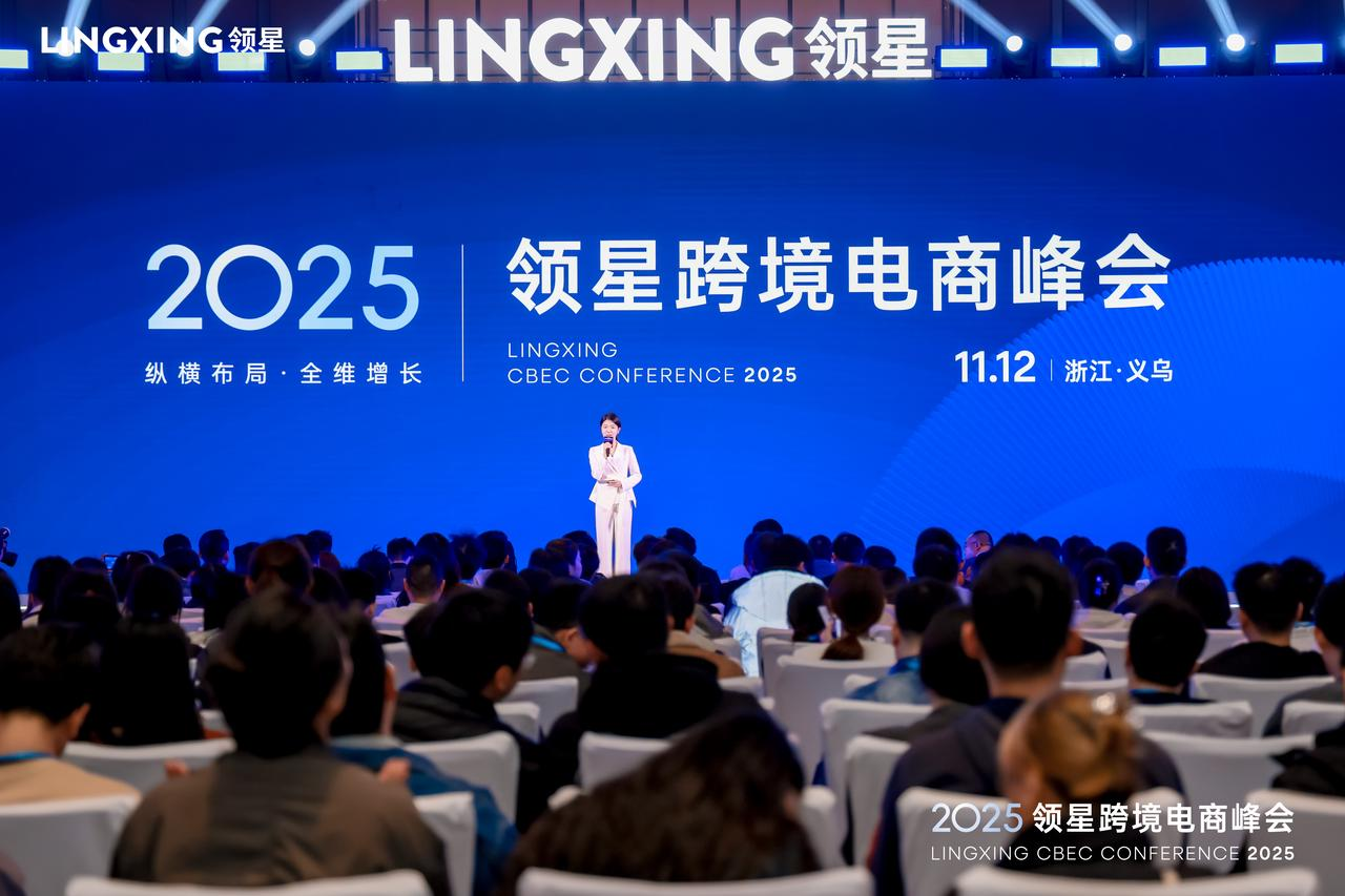 LINGXING erp