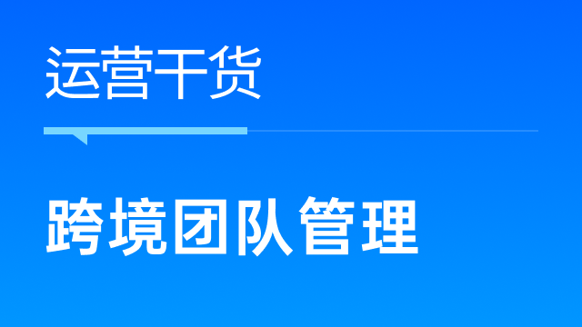 跨境卖家如何通过领星ERP管理团队，最大程度提高人效