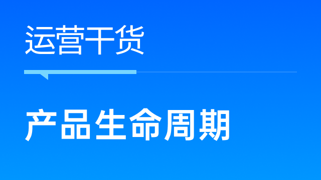 跨境卖家如何巧妙结合产品生命周期进行推广，确保投资回报最大化？