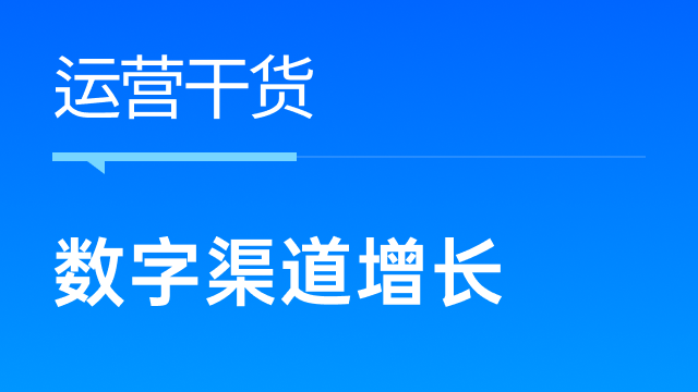 跨境电商卖家如何以数据驱动业务增长，打造全球品牌？