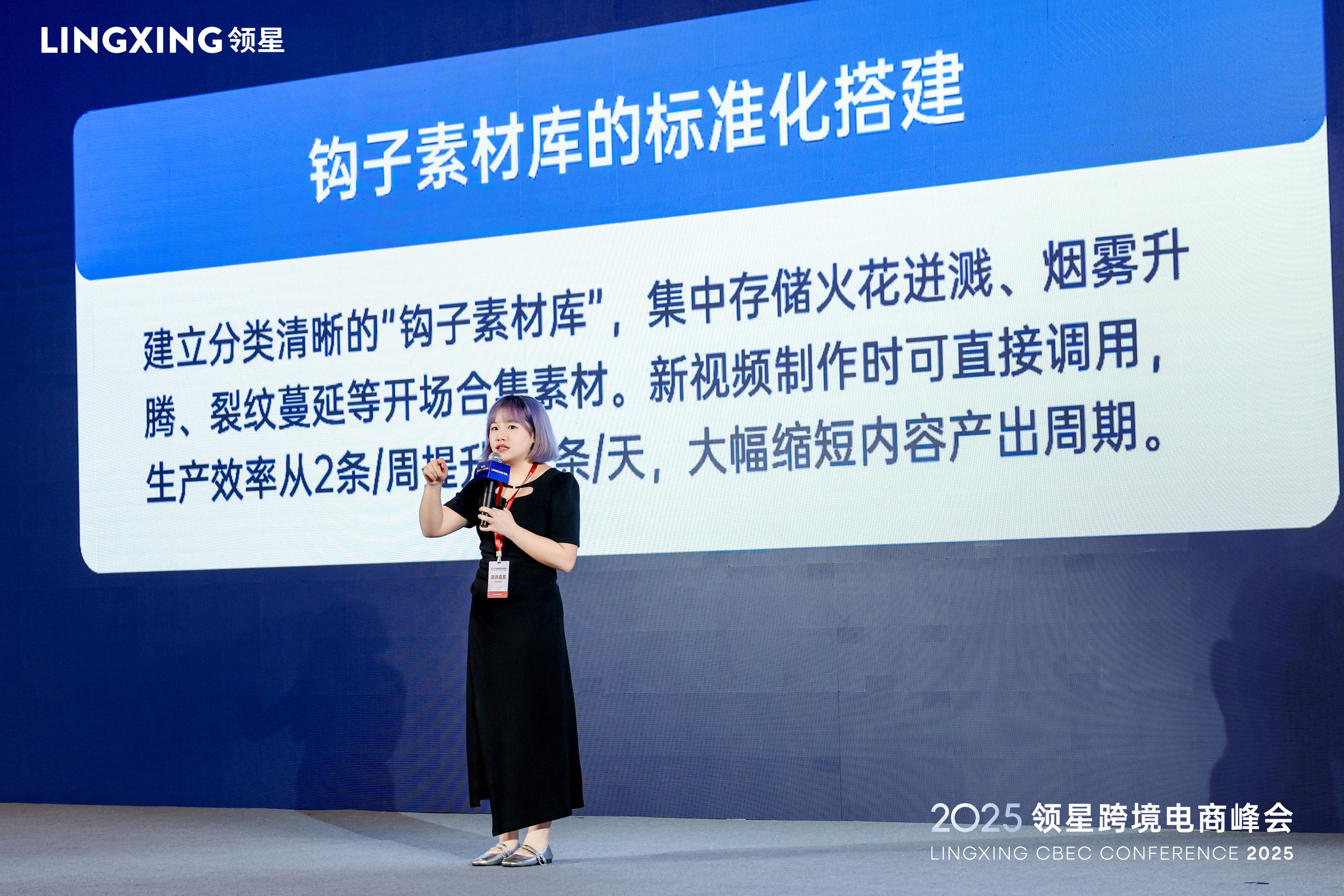 领星跨境电商峰会