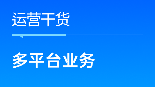 跨境卖家如何高效配置团队以应对多平台业务？